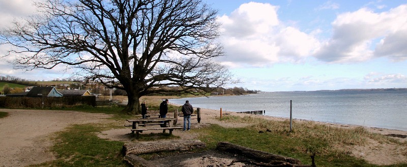 Aabenraa Trail Cannonball