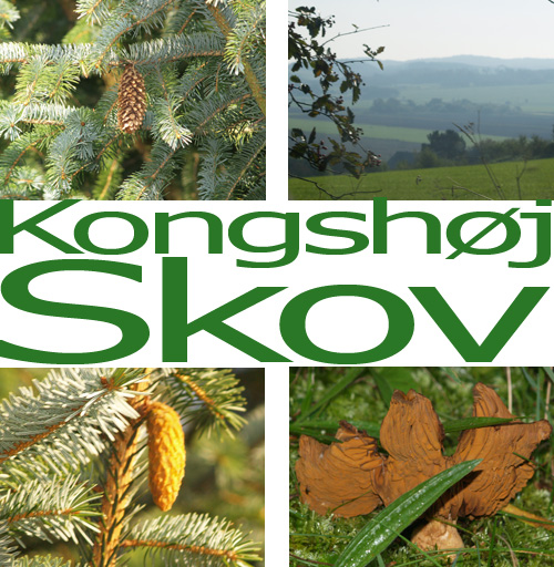 Kongshj Skov