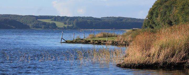 Mariagerfjord Rundt - klik her