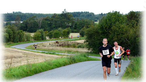 Vesthimmerland Marathon